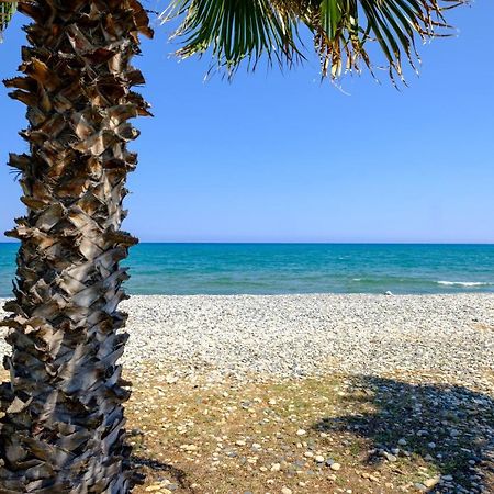 Oceanview Apartment لارنكا المظهر الخارجي الصورة