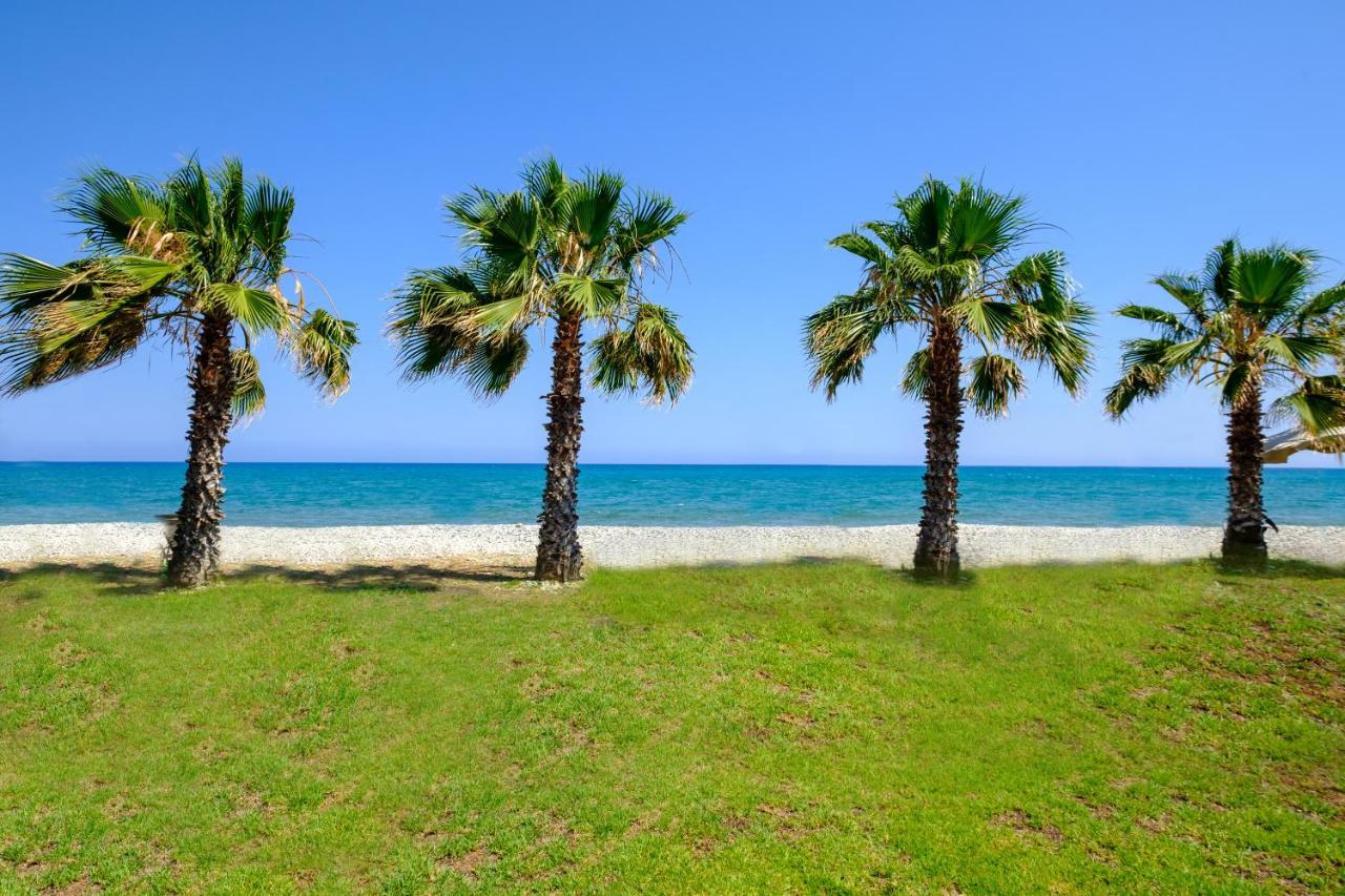 Oceanview Apartment لارنكا المظهر الخارجي الصورة