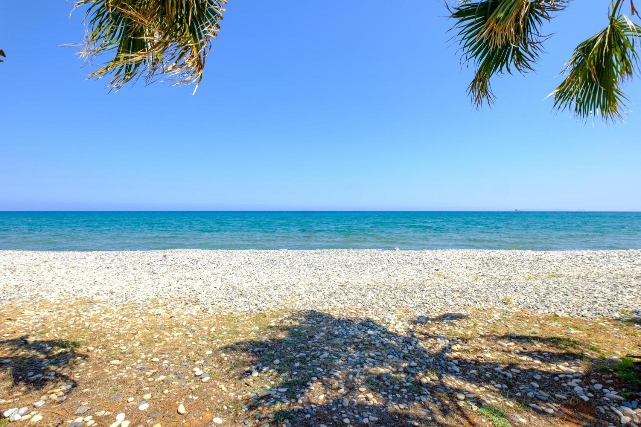 Oceanview Apartment لارنكا المظهر الخارجي الصورة